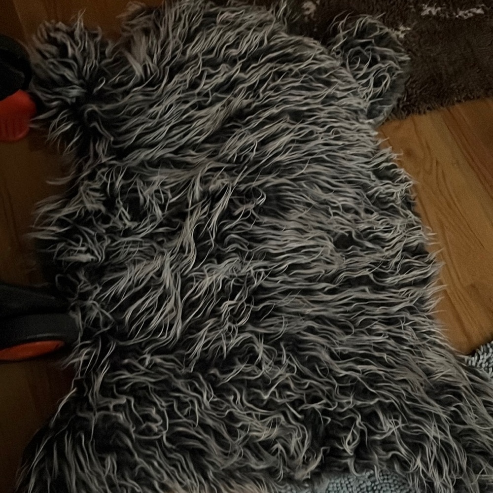 Pet bed